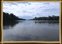 Tortuga River