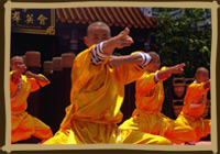 Shaolin Kung Fu Artists